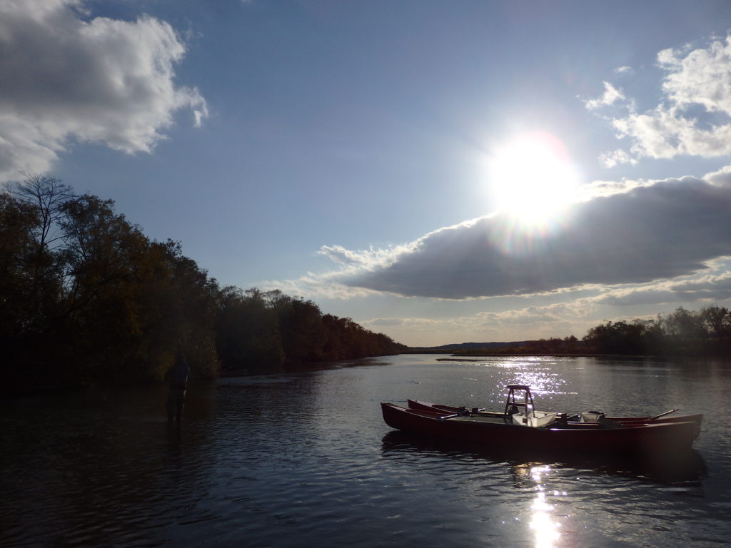 grace-field-side-widget-canoe